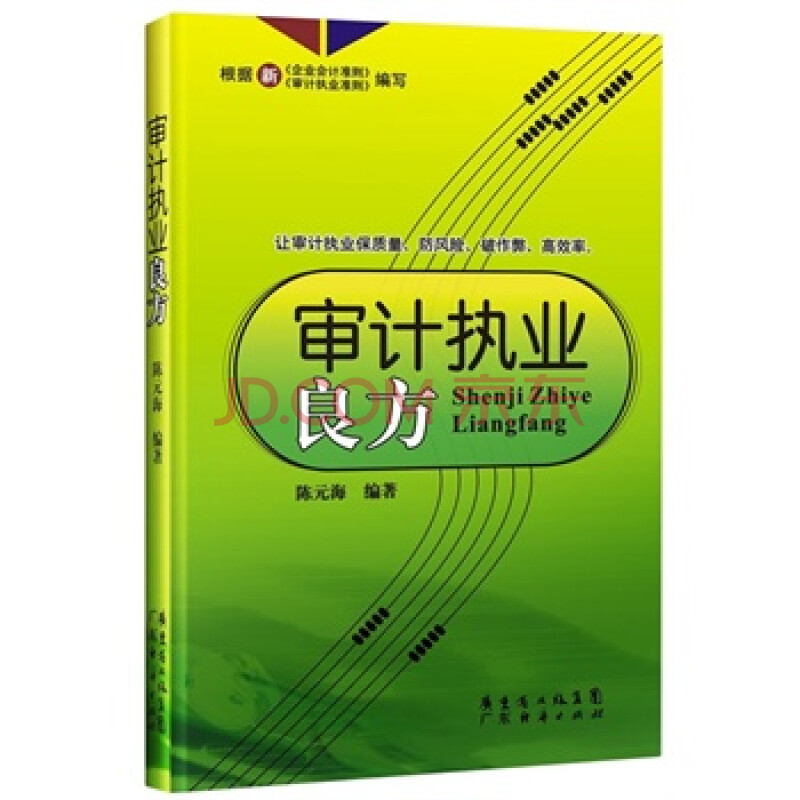 审计执业良方 陈元海