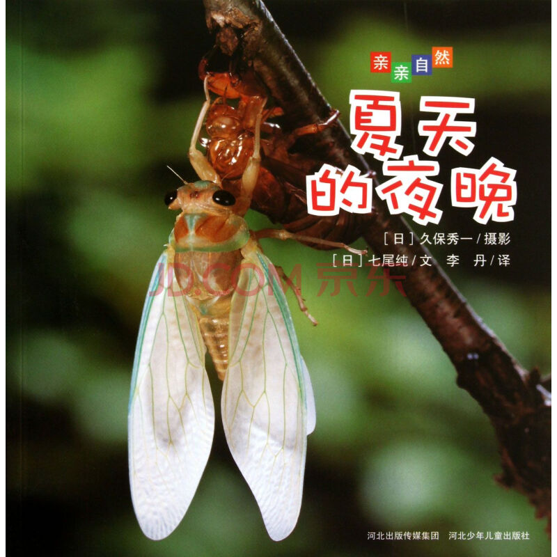 夏天的夜晚/亲亲自然(日)七尾纯译者:李丹摄影(日)久保秀一 河北