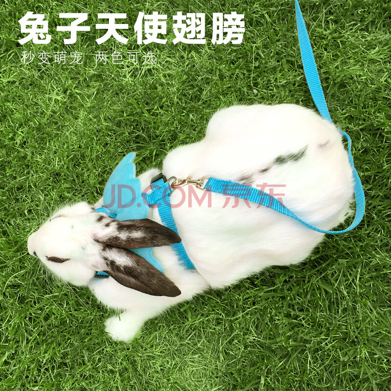 兔子牵引绳子溜兔绳牵引带链子遛兔绳牵兔绳可爱兔兔用品垂耳兔饰品