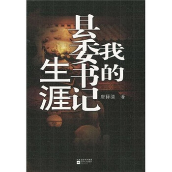 我的县委书记生涯》(唐禄清)【摘要 书评 试读 ...