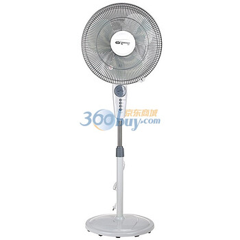 先锋（singfun）遥控落地扇FS40-10AR(DD1006)