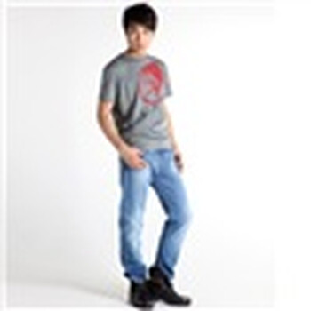 DIESEL 迪赛 男士圆领T恤 人头logo款 zn 80340965847XX款 青灰色 XL