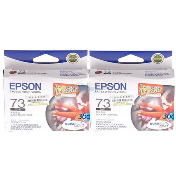 爱普生（Epson）T0731双支黑色套装 C13T105180（适用CX5500/5900/8300/9300）