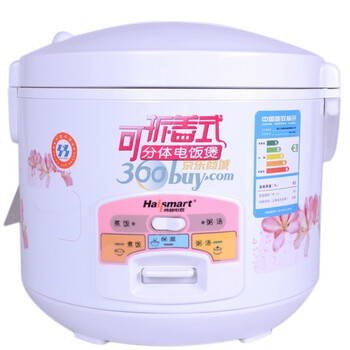 鸿智（hallsmart） HR-YB52 5L 印花可拆盖电子电饭煲（白色）