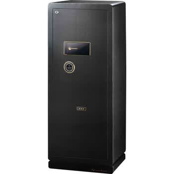 威盾斯（WEIDUNSI)黄金指系列指纹密码防盗保险柜FDG-A1/D-120Z1