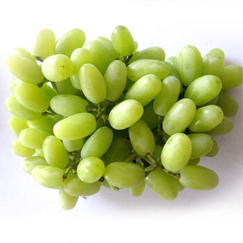 智利无籽青提（2KG/箱）