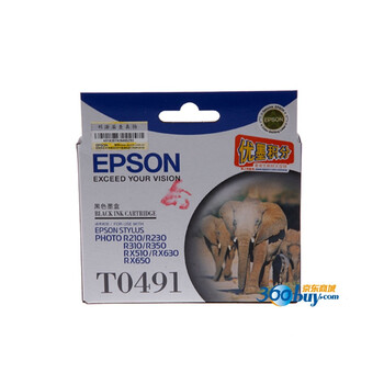 爱普生（Epson）T0491 黑色墨盒（适用Photo RX230 R210 R310 ）