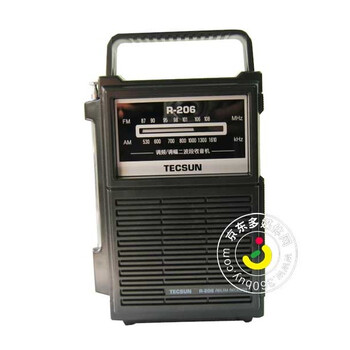 德生（TECSUN）R-206 便携式调频/调幅收音机（黑色）