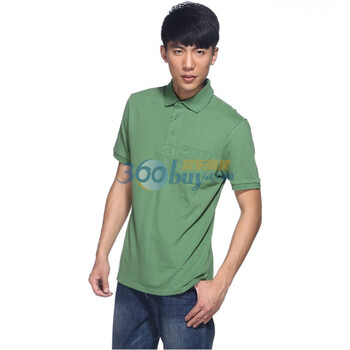 IZOD 2011新品棉翻领短袖基础款男商务polo衫 3121913271510绿色系XXL(185/102A)