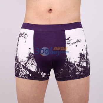 伊维雅/jemis 舒适柔软抗菌保健男士内裤时尚男平角裤u12004 紫色 XL