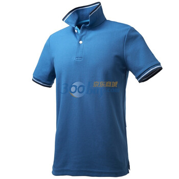 Giordano佐丹奴 Polo 男速干缤纷珠地修身Dry Polo 01011001 蓝色 M