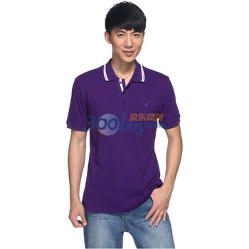 IZOD 2011新品纯棉翻领短袖休闲男士polo衫 3121913214704紫色系XXL(185/102A)