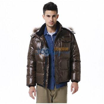 波司登 2011新款 羽绒服 男可脱卸帽休闲时尚短款 SR2207 褐色 190/104A(XXL)