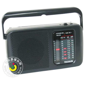 德生(TECSUN) R-303 交直流全波段电视伴音收音机 黑色
