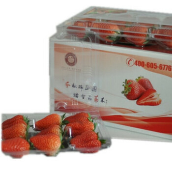 瑞正园特供有机草莓（1000g/2盒）