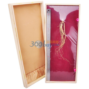 康美新开河野山人参9.8g(非人工种植,附证书)+