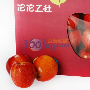 智利进口姬娜果礼盒 （约1.8kg 12个）