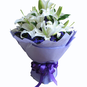 <em>生日</em>礼物<em>送女友</em> 鲜花速递 19朵白色<em>香水</em>百合花