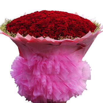 999朵红玫瑰花 鲜花速递 需提前预定AL0279 非