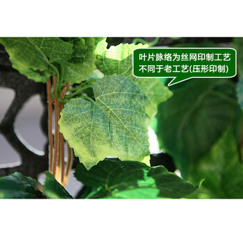 
                                        
                                        畅宁 花藤藤条【高仿真叶 1包(5根)】仿真植物绿叶藤条 庭院装饰仿真花假花干花家居装饰 (葡萄叶1包(5根))                