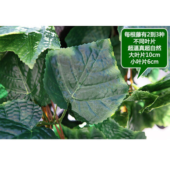 
                                        
                                        畅宁 花藤藤条【高仿真叶 1包(5根)】仿真植物绿叶藤条 庭院装饰仿真花假花干花家居装饰 (葡萄叶1包(5根))                