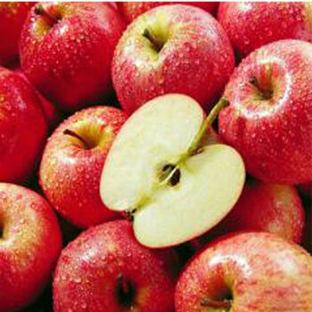 悦果园进口水果嘎啦果姬娜果苹果20个装【图