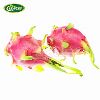 佳利麦鲜果-越南进口火龙果1个 500克左右 新