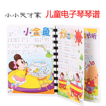 贝恩施 电子琴琴谱一本