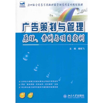 广告策划与管理:原理、案例与项目实训 杨佐飞