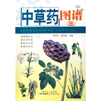 黑老虎根