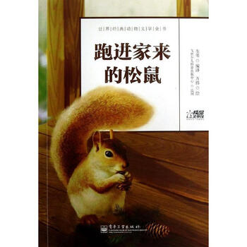 汉家松鼠_跑进家来松鼠