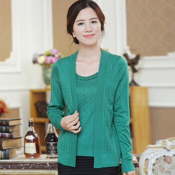 芬典正品2014中年<em>女装春装薄外套</em> 女 春秋中老