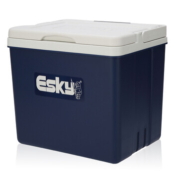 esky 翻盖式冷藏箱 保温箱 钓鱼箱 野餐箱 10升 深蓝色 手提式 esky蓝