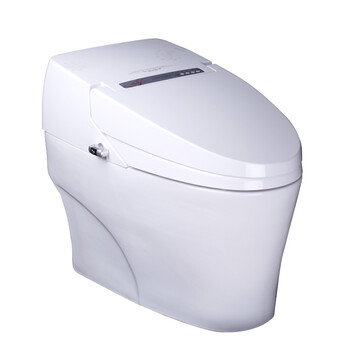 维卫一体机168(智多星系列全自动智能马桶)小