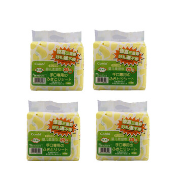 Combi 康贝 BW-2R 博瑞双向A型版轻便可躺可