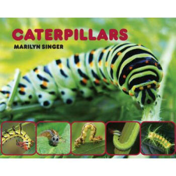 caterpillars [7~10岁]