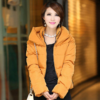 冬季清仓】Arsul+2013冬装女士短款羽绒服女长袖修