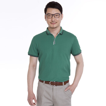 davehill 大卫山中年男士短袖POLO衫 半袖polo 男装t恤 商务休闲保罗衫DH1021FS12 绿色GE 54