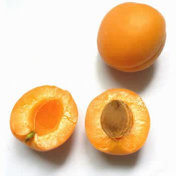 新鲜杏子 净重2kg
