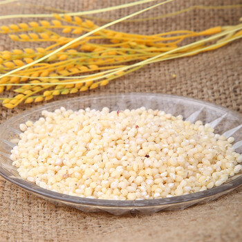 生态小镇有机 高粱米 420g*3:化妆品 母婴 食品 