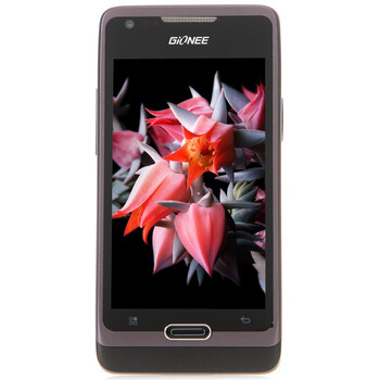 金立 GN200 3G手机（磨砂黑）WCDMA/GSM