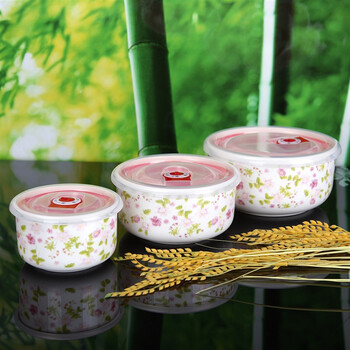 金禹瑞美(REMEC) 花开锦簇保鲜碗 泡面碗 便当碗三件套