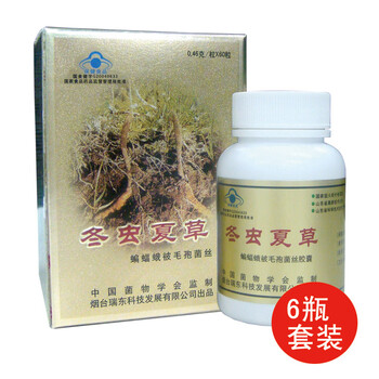 【瑞东】冬虫夏草胶囊460mg×60粒/瓶（六盒套装）