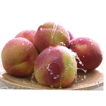 龙泉脆桃2.5kg