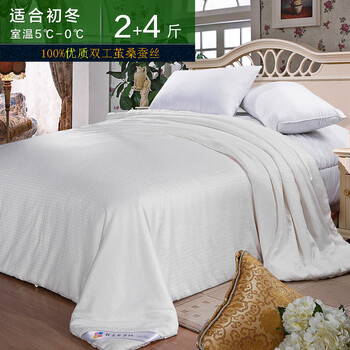 钱皇正品 100 %桑蚕丝桐乡手工桑蚕丝被/夏被芯 单/双人 子母款 关爱 锦锈长城 蚕丝净重2+4斤 220x240cm