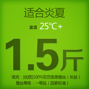 钱皇正品 100%桑蚕丝被桐乡手工被芯/子春/冬被 单/双人 爱尚 斜纹 蚕丝净重1.5斤 220x240cm