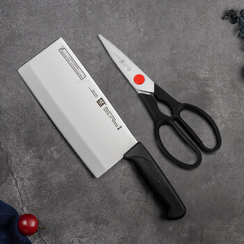 
                                        
                                                            双立人（ZWILLING）德国双立人刀具套装自营 厨房切菜刀剪刀不锈钢两件套 38819-180-722-AEnjoy                
