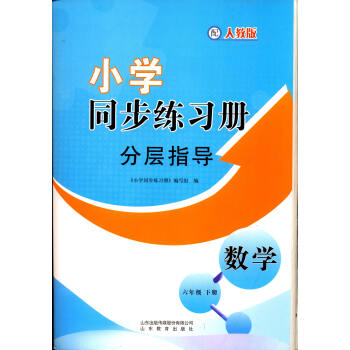 2022六三制数学6六年级下册小学同步练习册分层指导分层卷配人教 数学