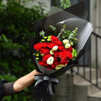 3月8号鲜花速递感恩版康乃馨鲜花百合花束送长辈老人老师父母生日礼物