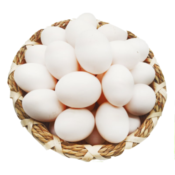 九万鹏 鸽子蛋 现货直发 新鲜蛋品 孕妇宝宝食品 鸽子蛋20枚装
